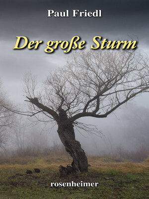 cover image of Der große Sturm